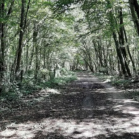 Charme 펜션 Les Granges (Haute-Marne)